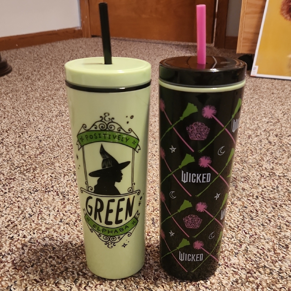 Wicked Themed Tumbler Set with Straws